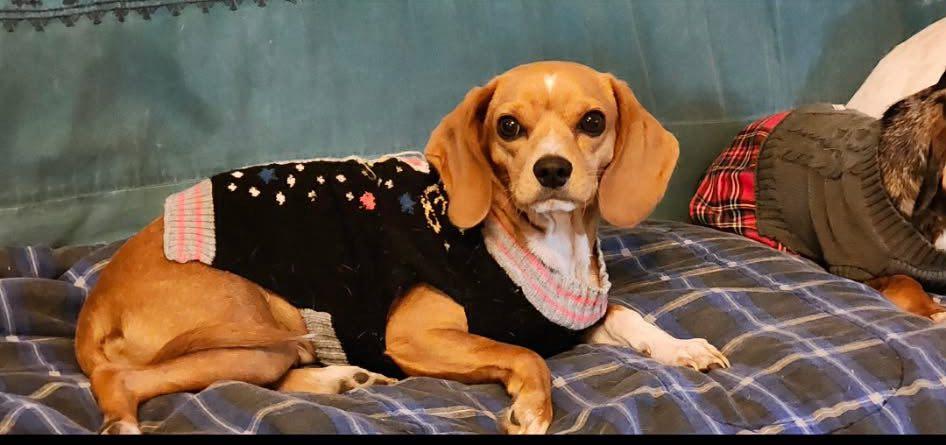 Addie photo