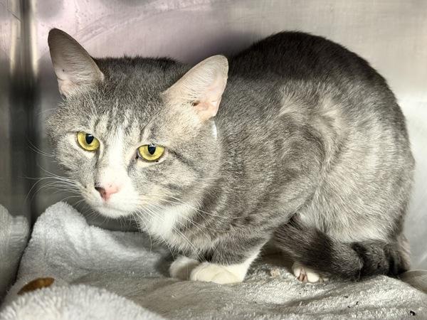 Cutie Boy — thumbnail 2