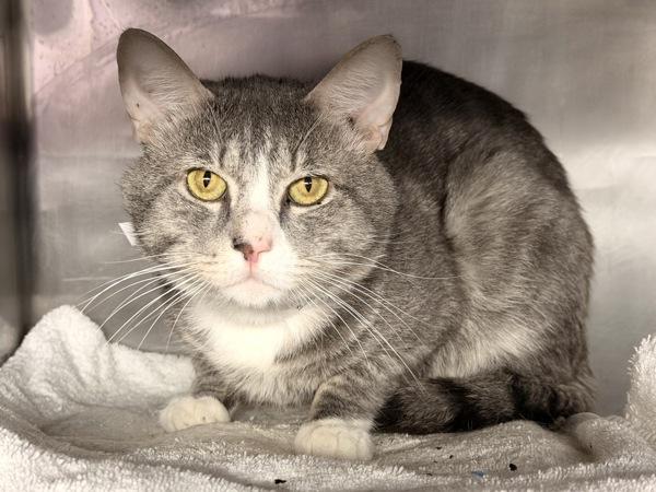 Cutie Boy — thumbnail 3