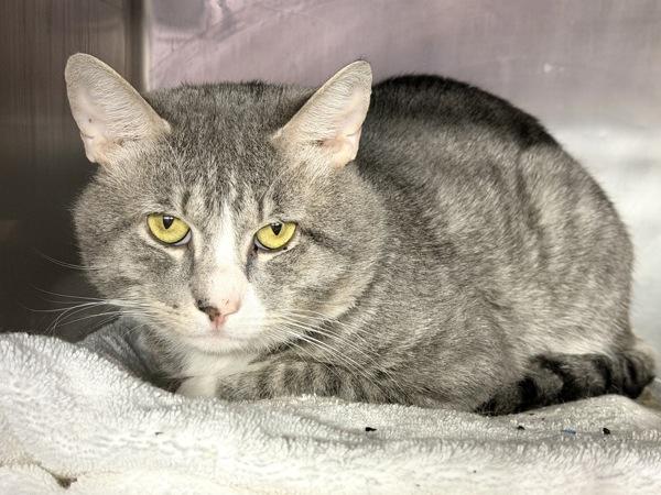 Cutie Boy — thumbnail 4