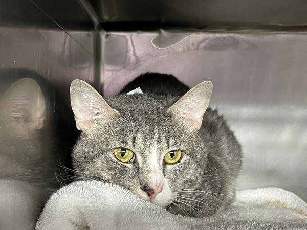 Cutie Boy — thumbnail 5