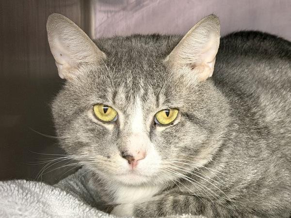 Cutie Boy — thumbnail 6