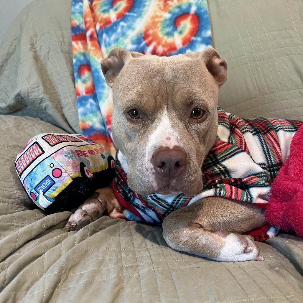 Ella — thumbnail 2