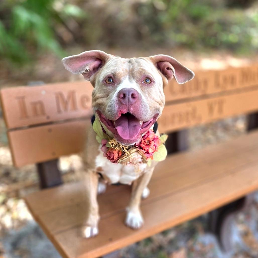 Ella — thumbnail 3