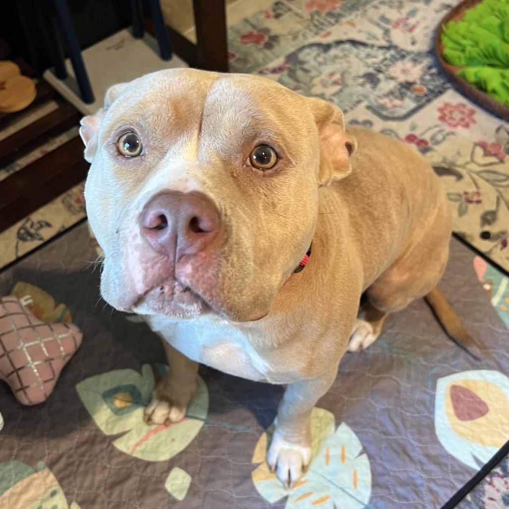 Ella — thumbnail 5