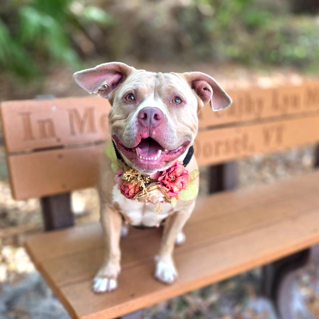 Ella — thumbnail 6