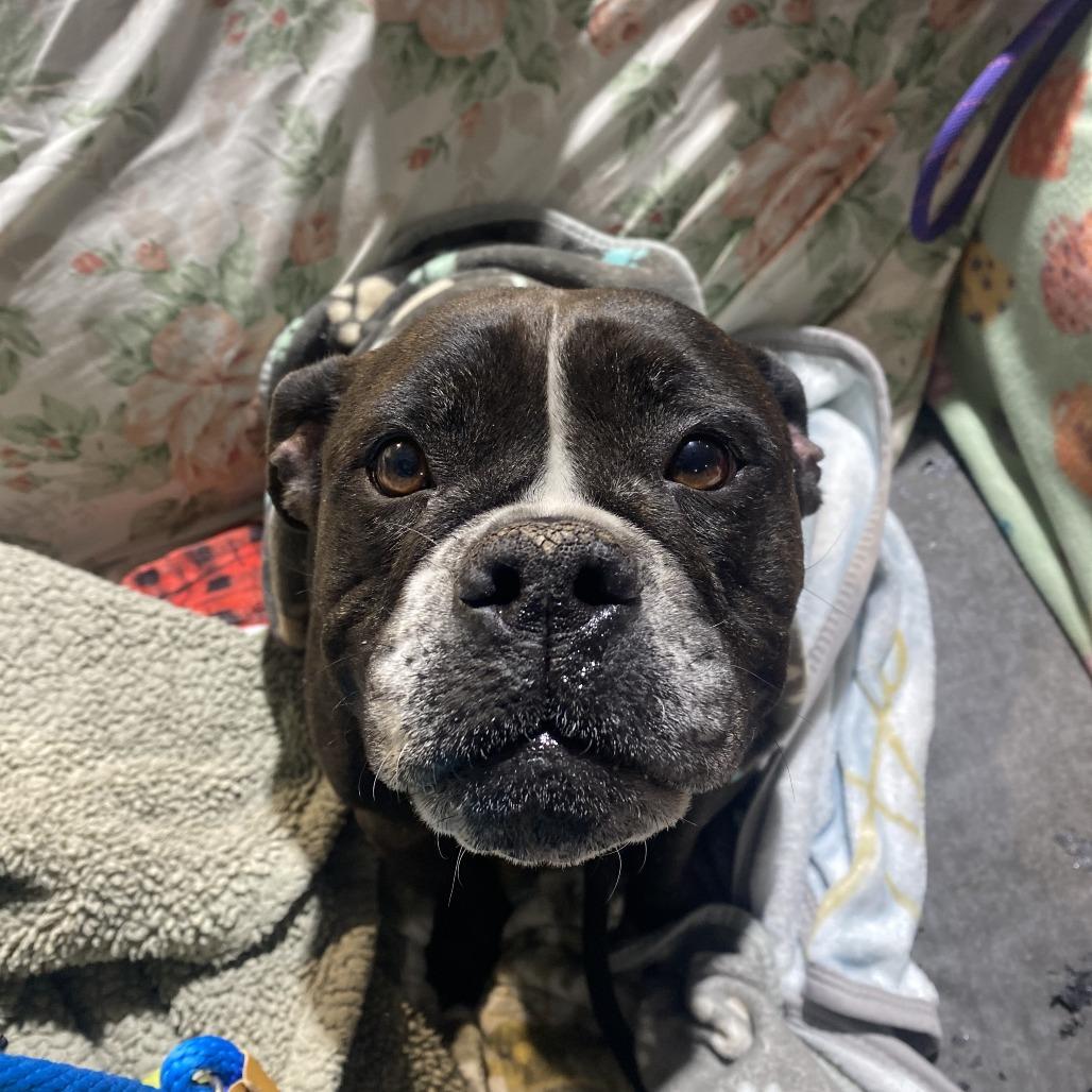 Grace — thumbnail 2