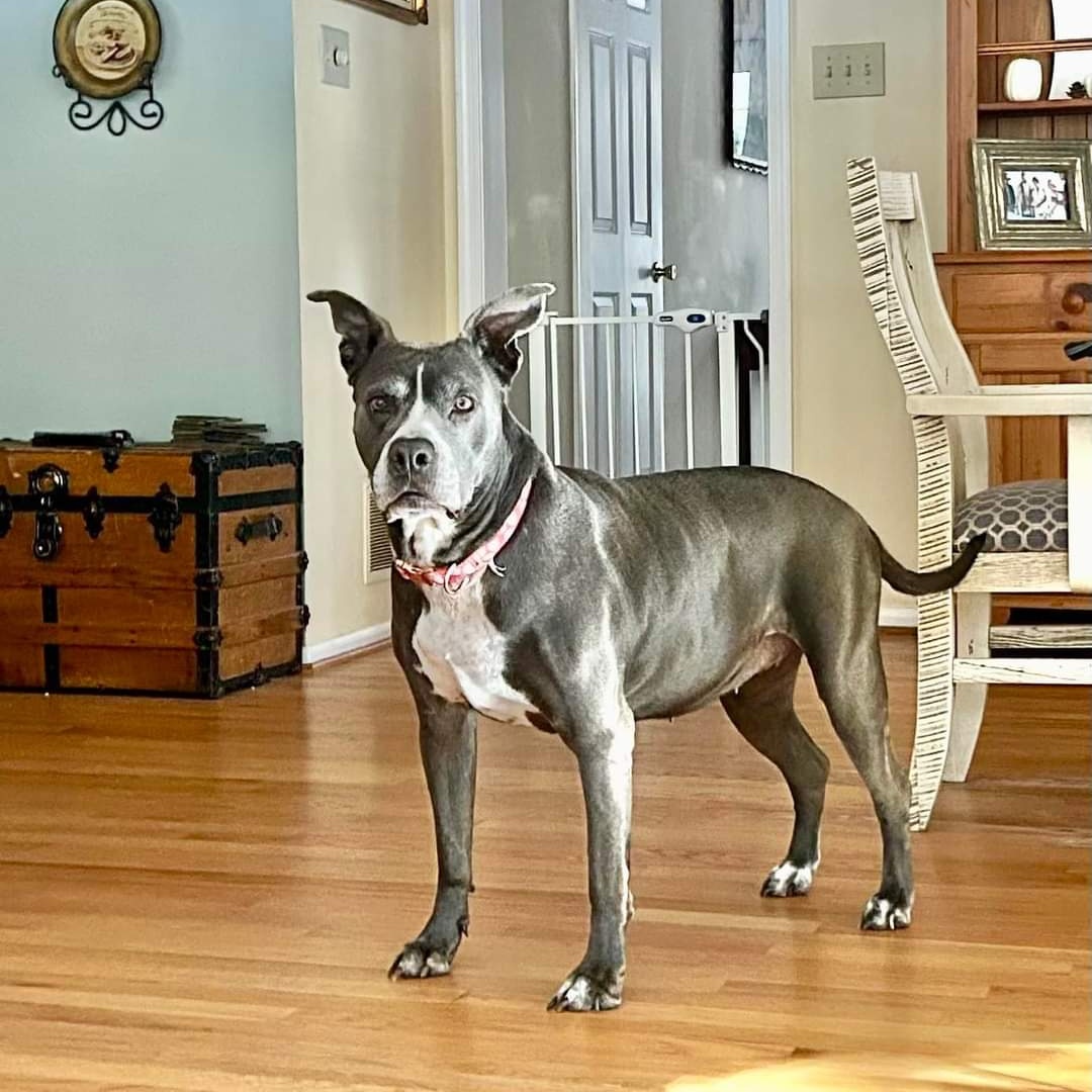 Ruby photo 1