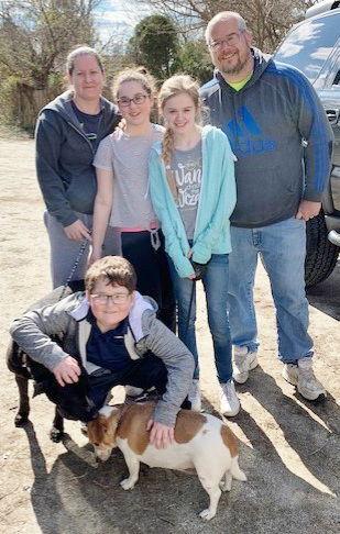 Enlarge Beau, a Adopted Labrador Retriever in Mount Laurel, NJ image 2/2