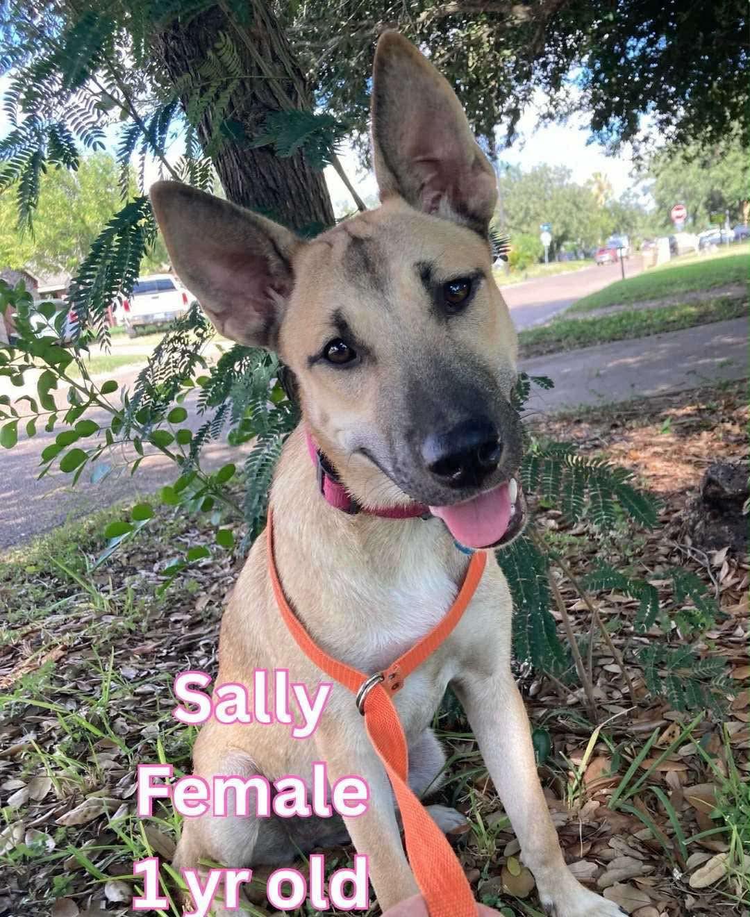 Sally
