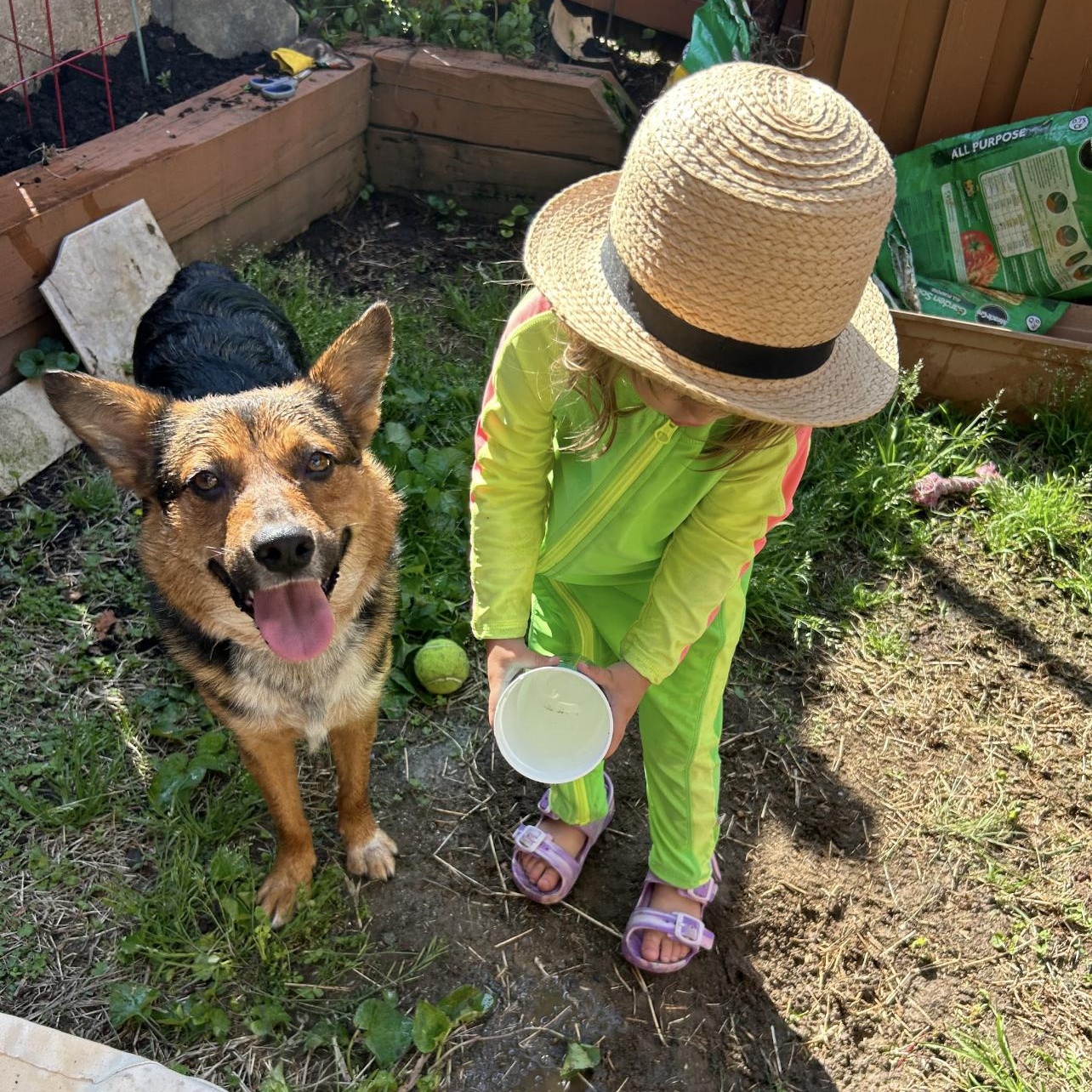 Enlarge Trudy, a ADOPTABLE mixed breed in Hughesville, MD image 6/6
