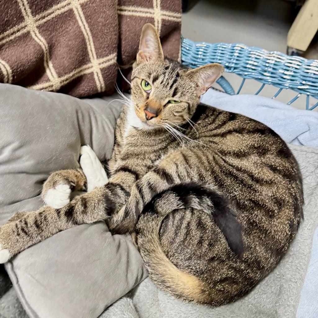 BOXY — thumbnail 6