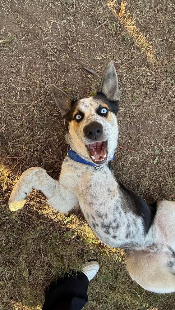 Jingle Jones thumbnail 2