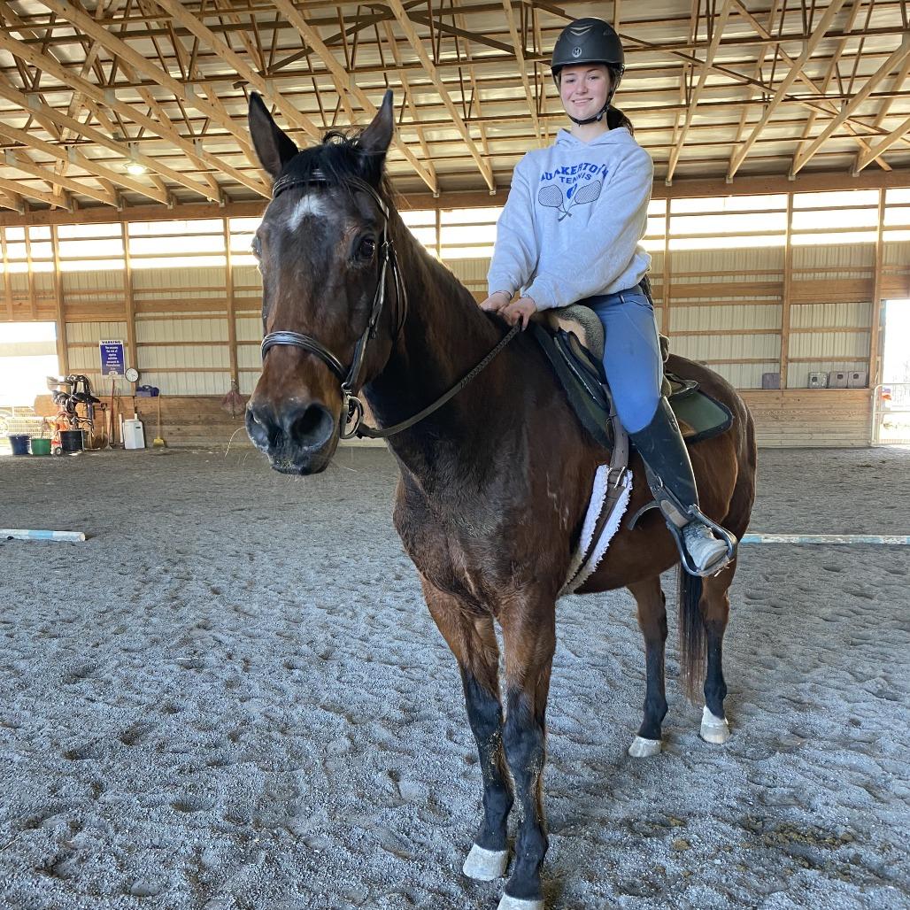 Enlarge Gumby, a Adoptable Quarterhorse in Quakertown, PA image 4/6