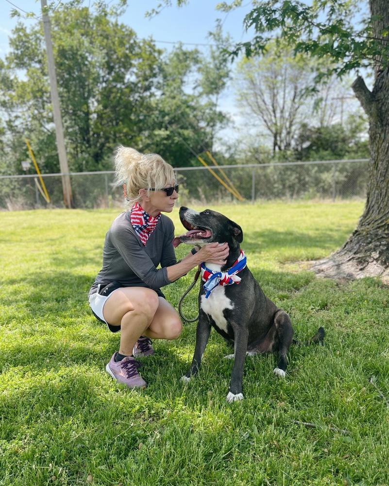 Huey, a Adoptable mixed breed image 2/6