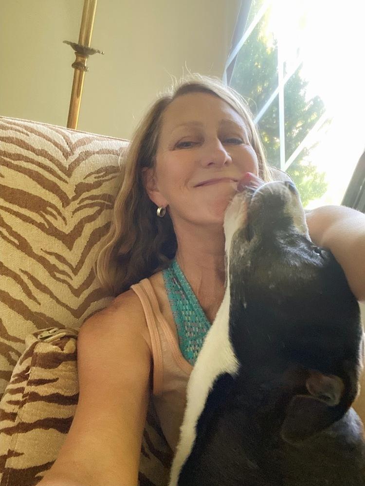 Huey, a Adoptable mixed breed image 4/6