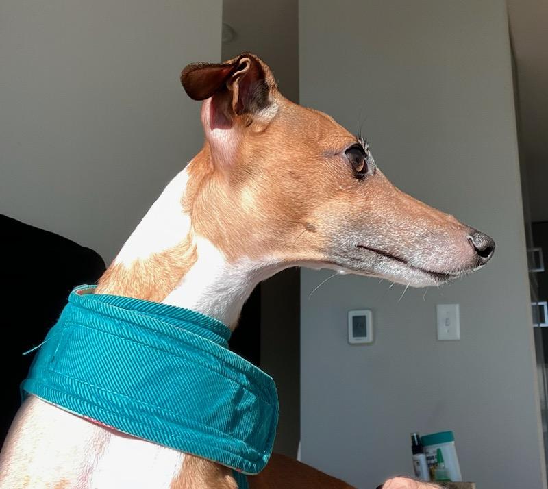 Vincenzo (Vinny)