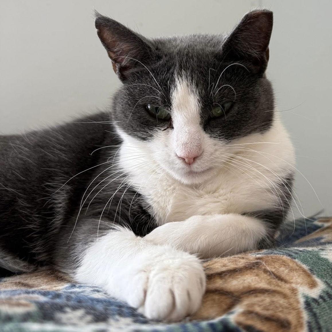 Emma — thumbnail 2