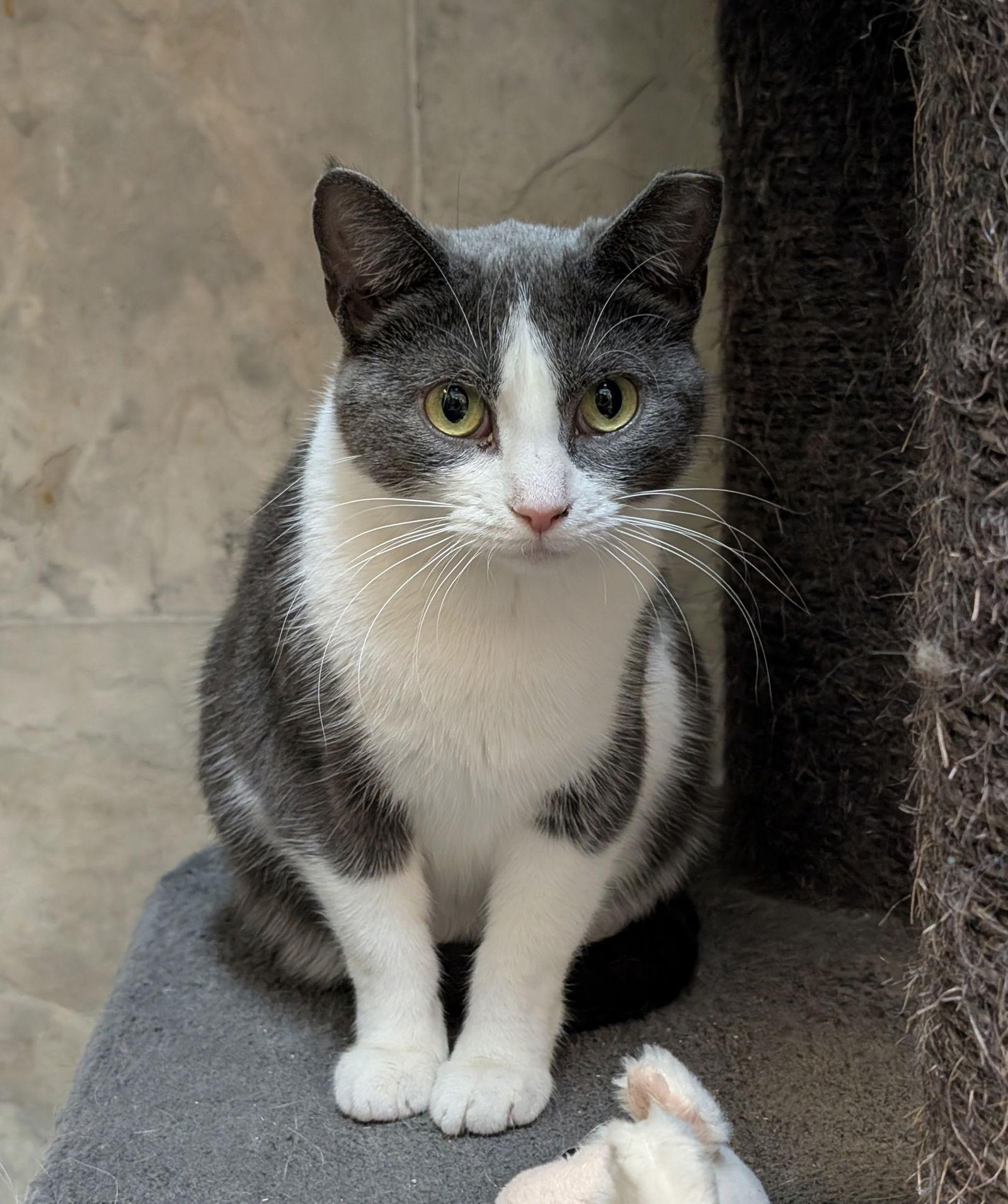 Emma — thumbnail 3