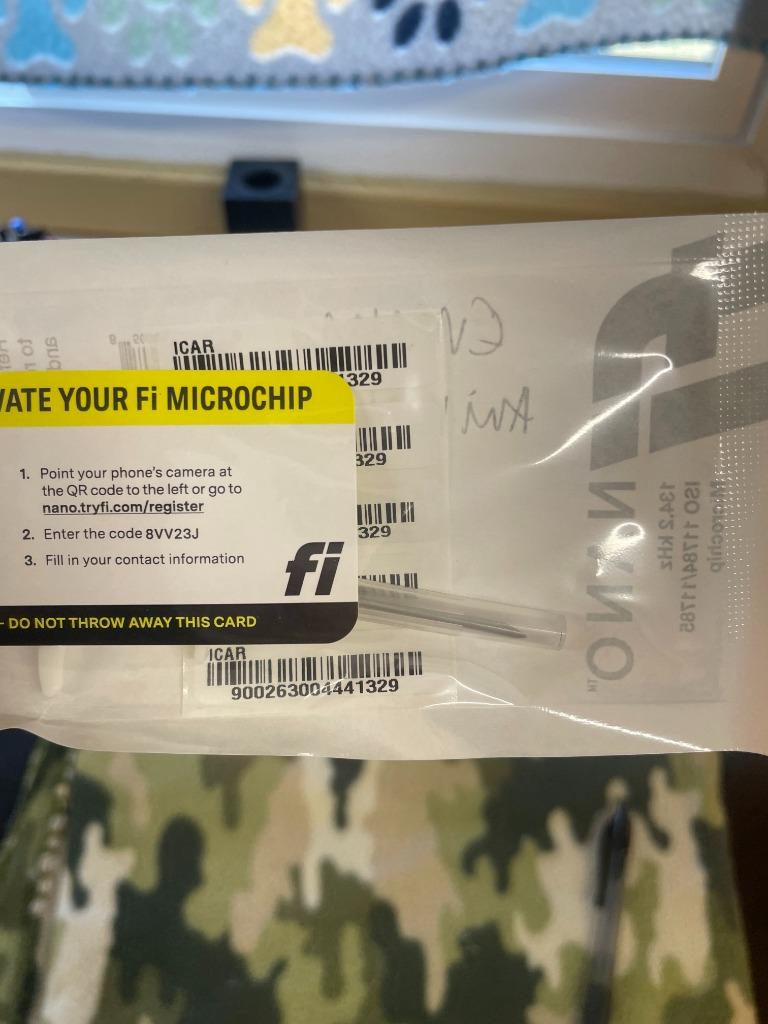 Enlarge Emery, a Adoptable mixed breed in Tulsa, OK image 6/6