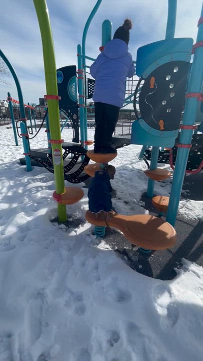 Enlarge Tyson Dyson, a Adoptable Mixed Breed in East Moriches, NY video 2/6