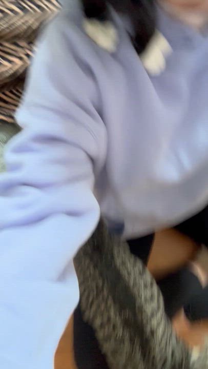 Enlarge Marlin & Guppy, a ADOPTABLE Domestic Short Hair in Andover, CT video 3/6