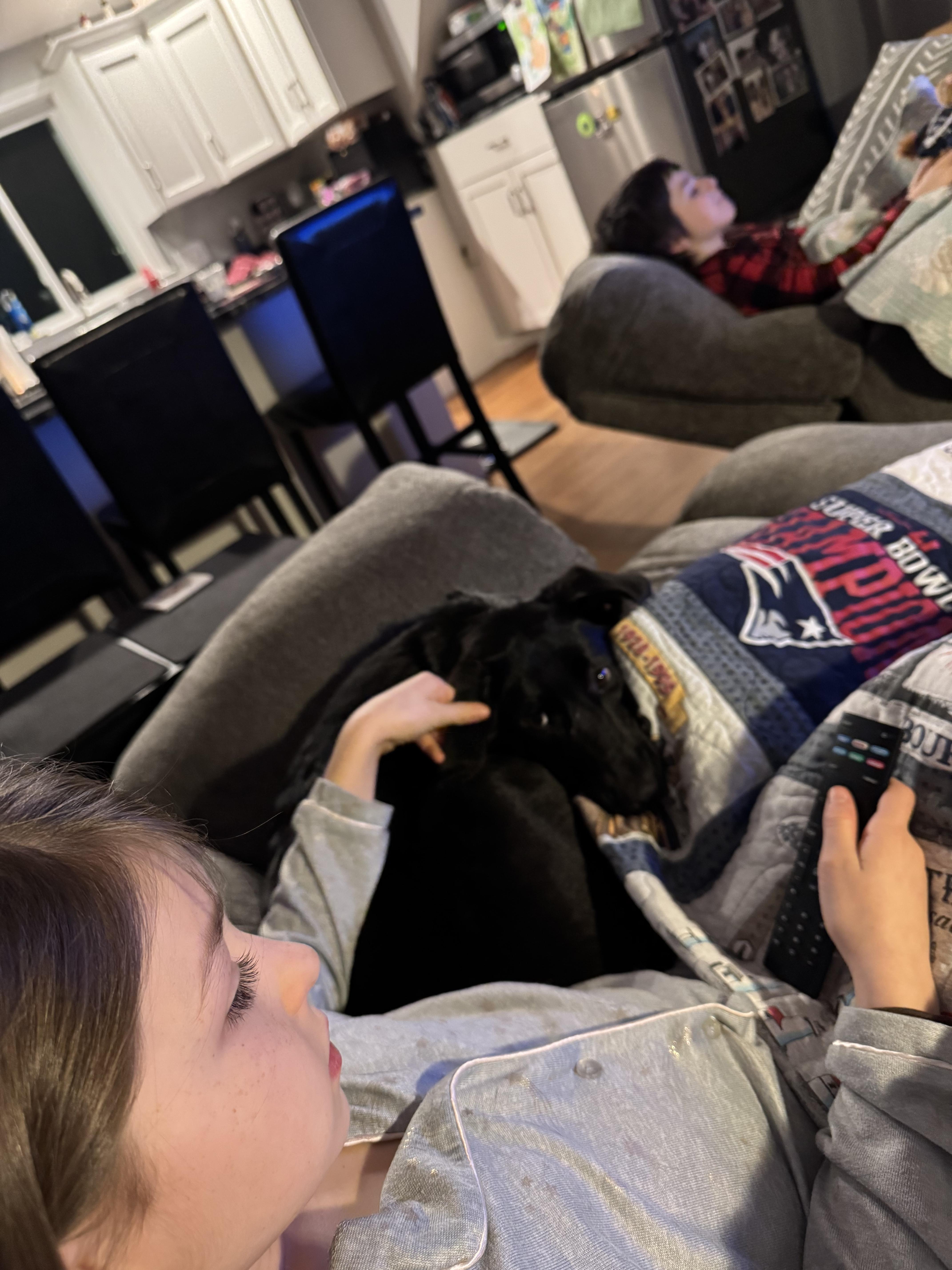 Enlarge Aggie- COME MEET ME!, a Adoptable mixed breed in Medfield, MA image 4/6