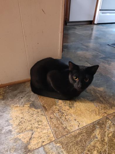 Salem