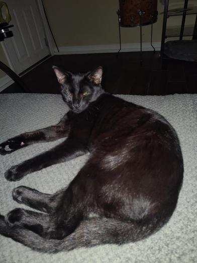 Salem