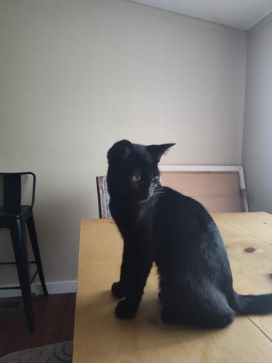 Salem