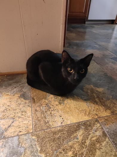 Salem