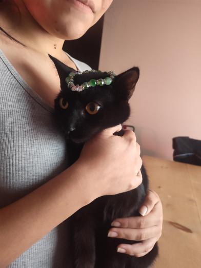 Salem