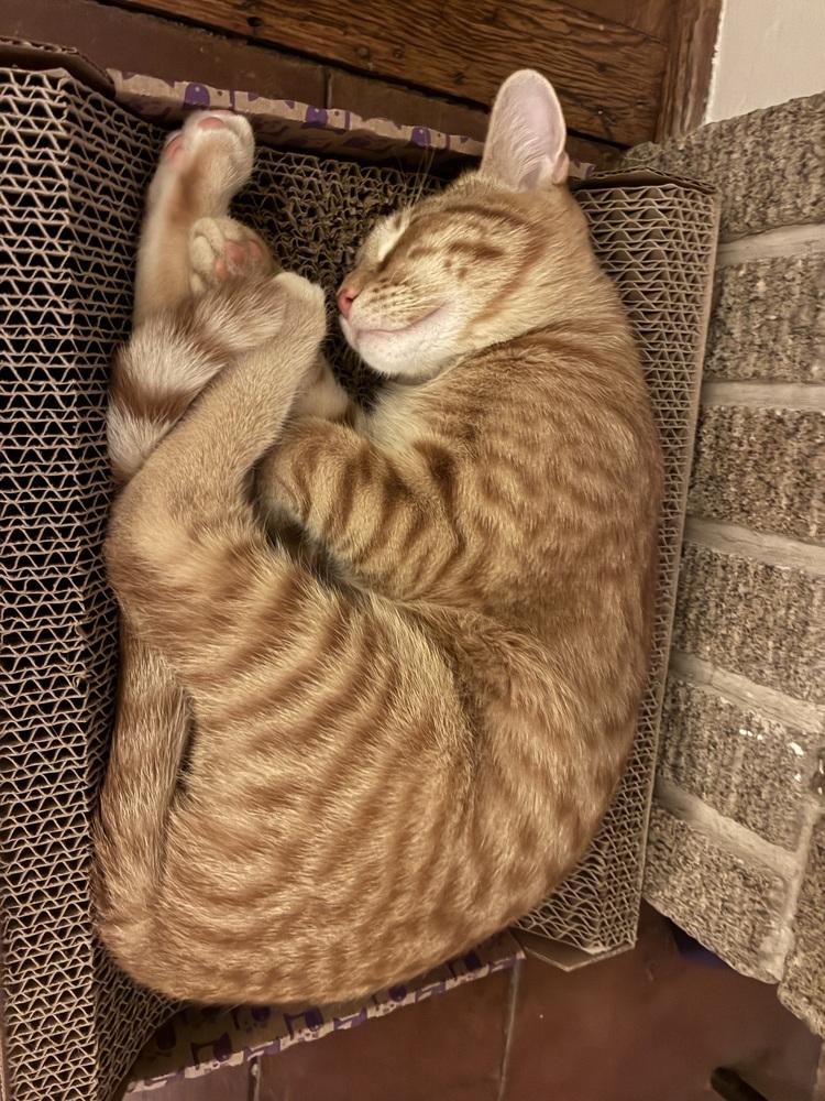 Eric Penman — thumbnail 2