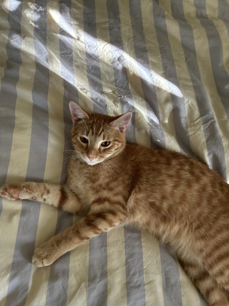 Eric Penman — thumbnail 3