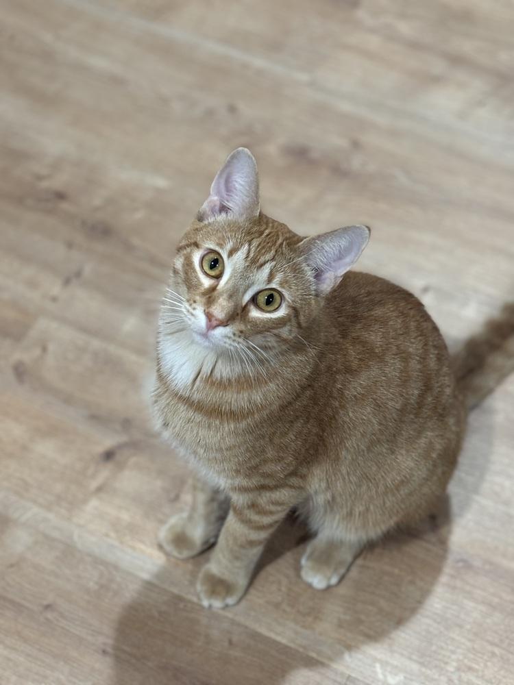 Eric Penman — thumbnail 4