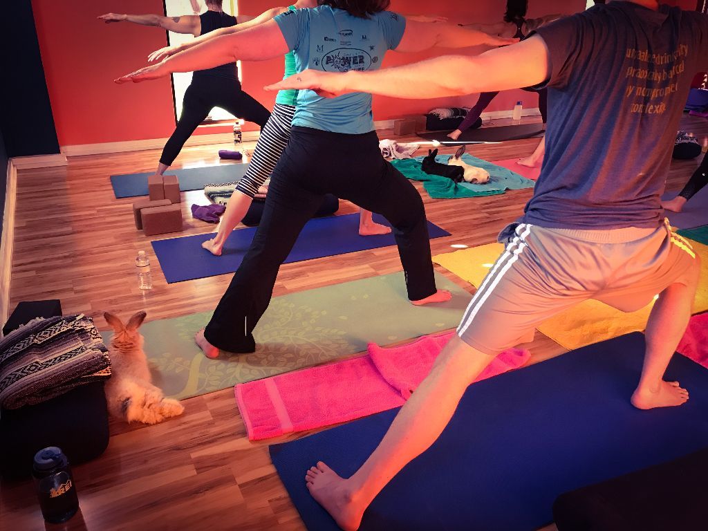 Enlarge Prince, a Adoptable mixed breed in Columbia, TN image 2/4