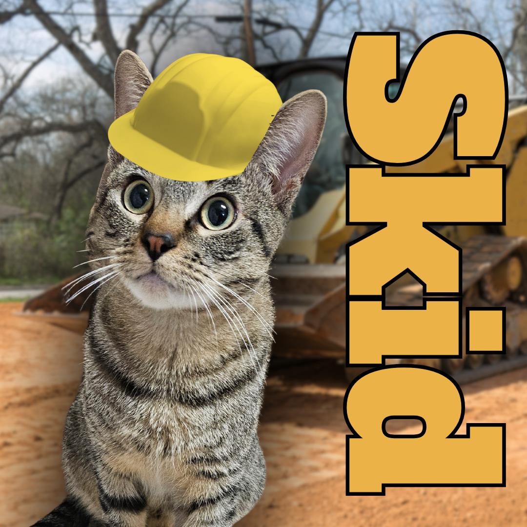 Enlarge Skid, a Adoptable Domestic Short Hair in Aransas Pass, TX image 1/2