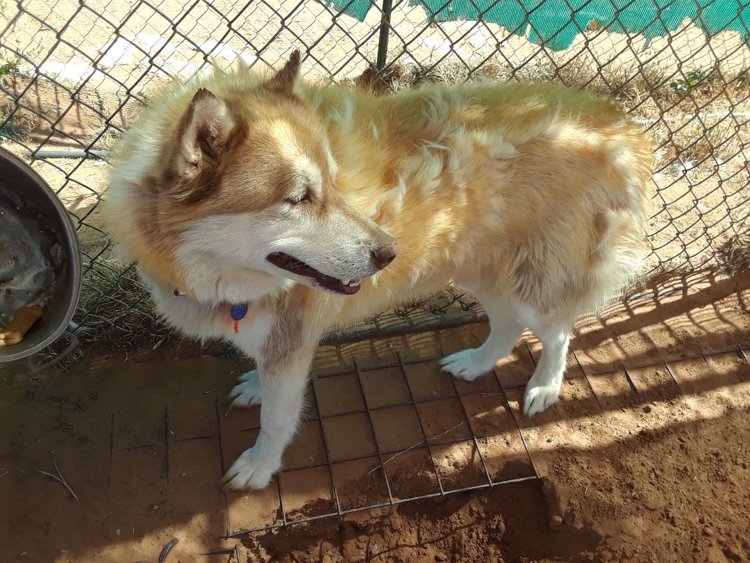 Sundance — thumbnail 2