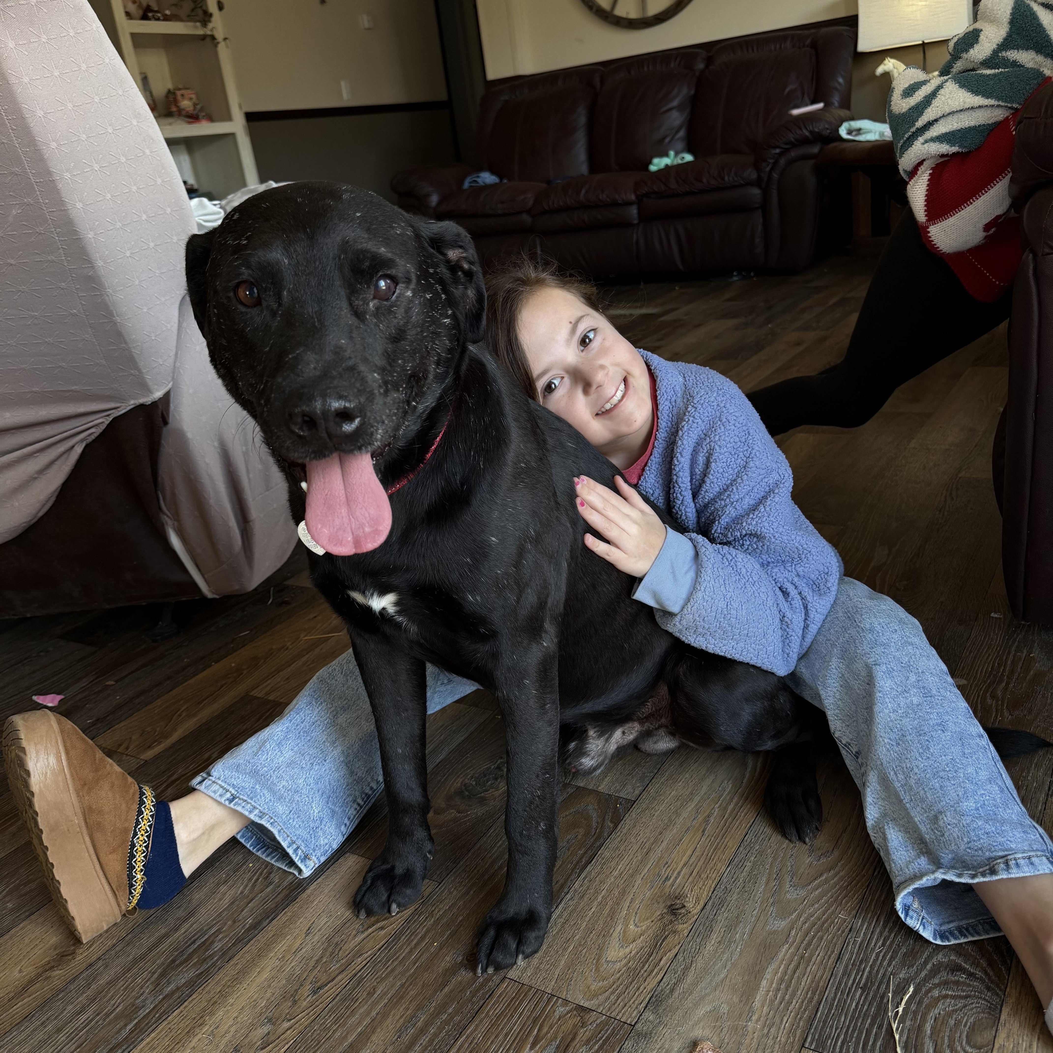 Major — thumbnail 2