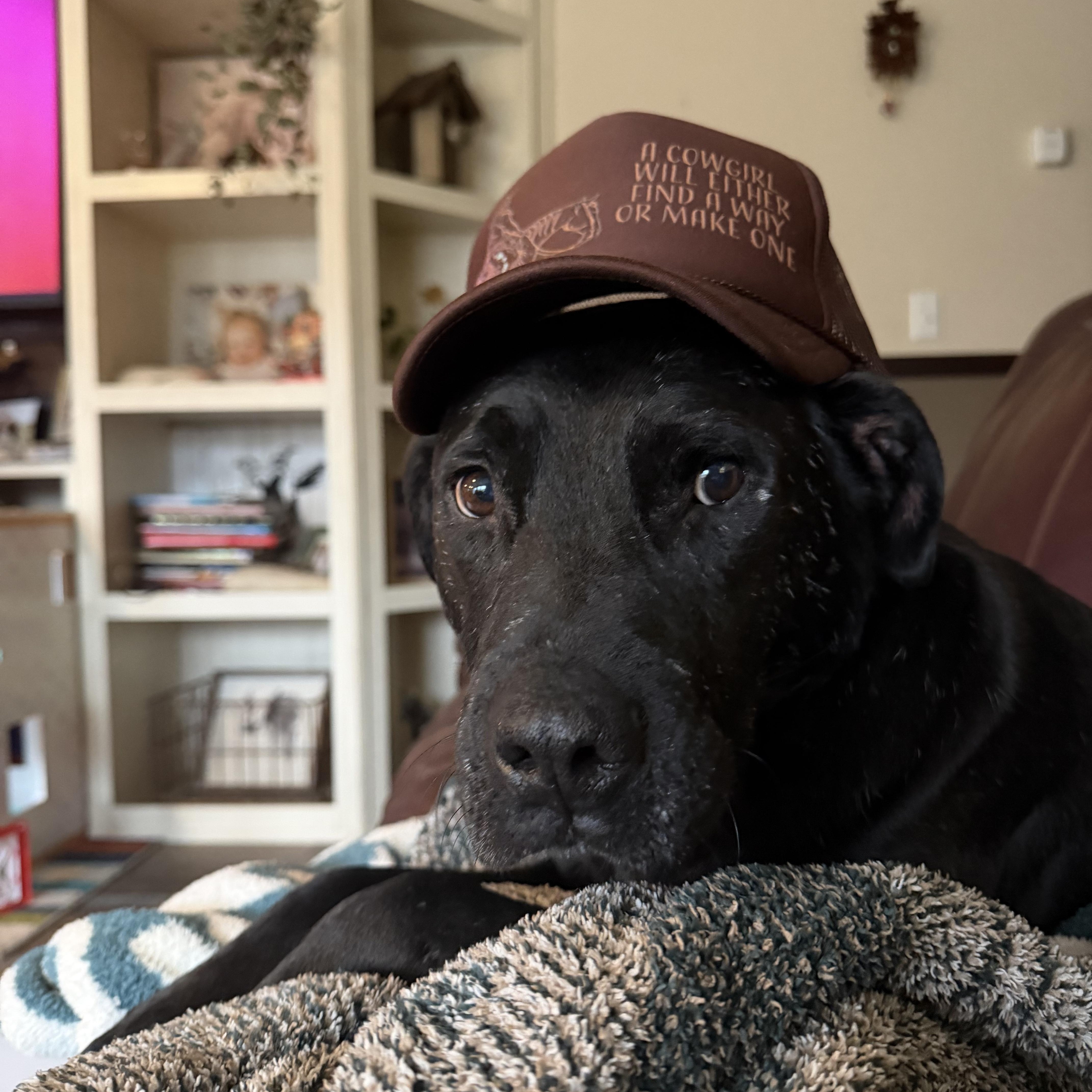 Major — thumbnail 4