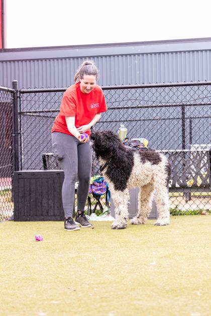 Link — thumbnail 3