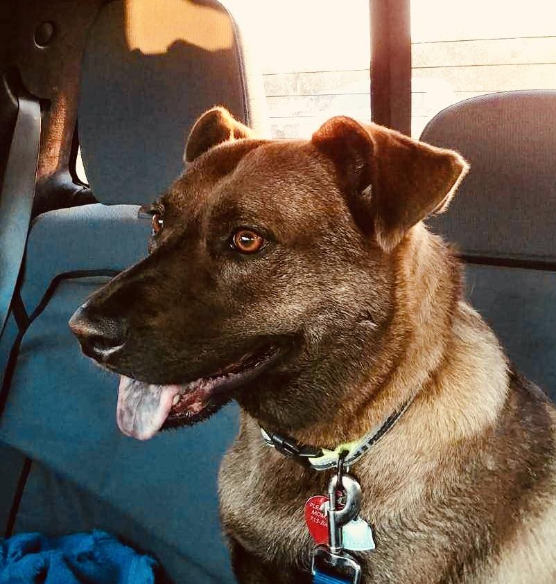 Lucy 2 — thumbnail 4