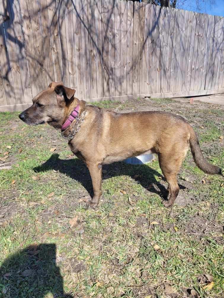 Lucy 2 — thumbnail 5