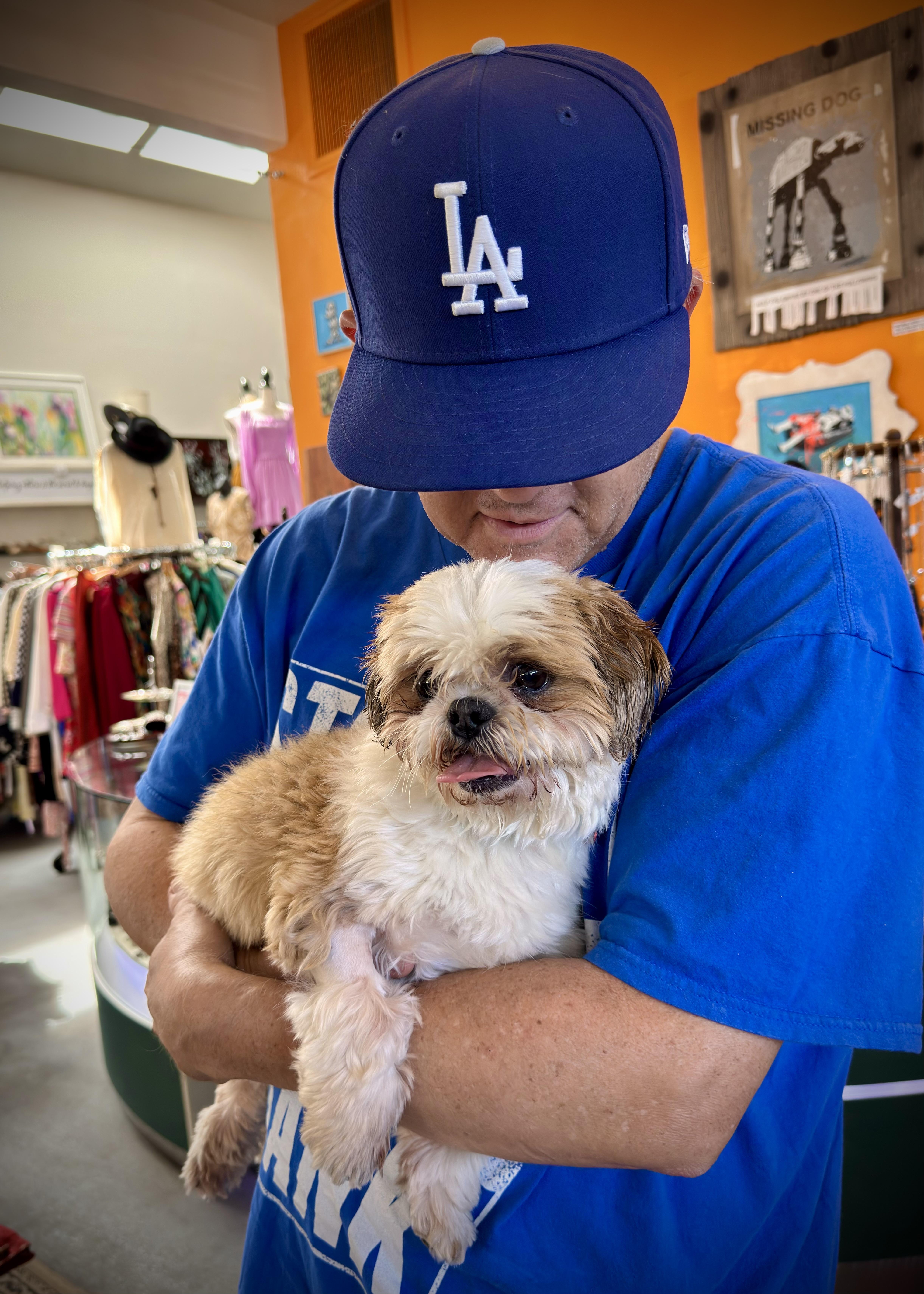 Dahlia, a Adopted Shih Tzu in Glendale, CA image 4/5