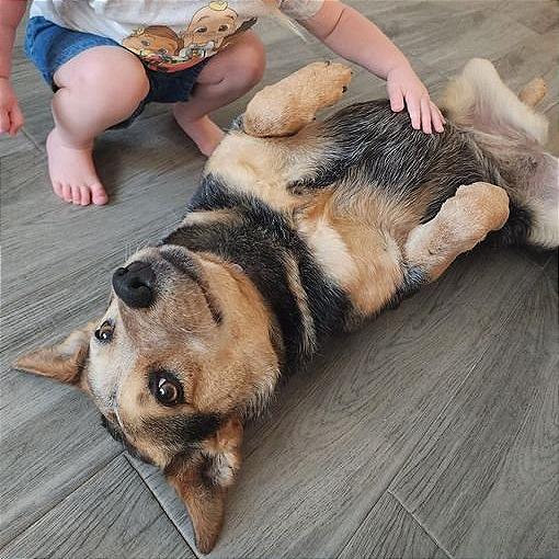 Cocoa — thumbnail 3