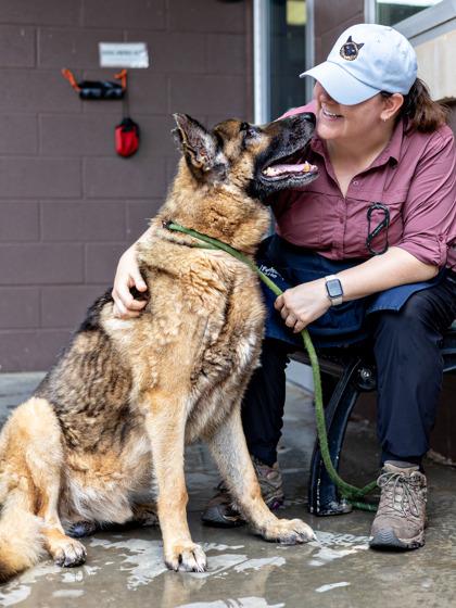 Enlarge Gramps-IN FOSTER, a Adoptable Mixed Breed in Chamblee, GA image 3/3
