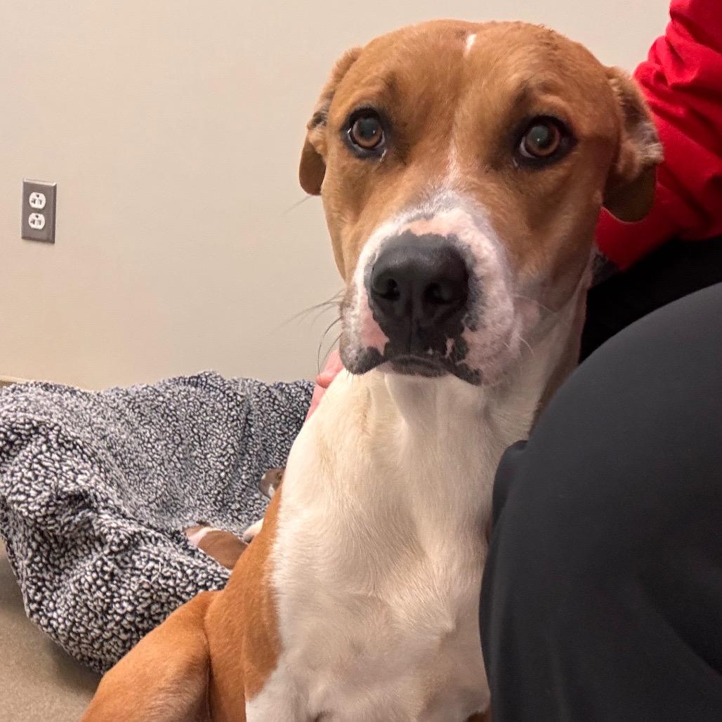 Claire — thumbnail 2