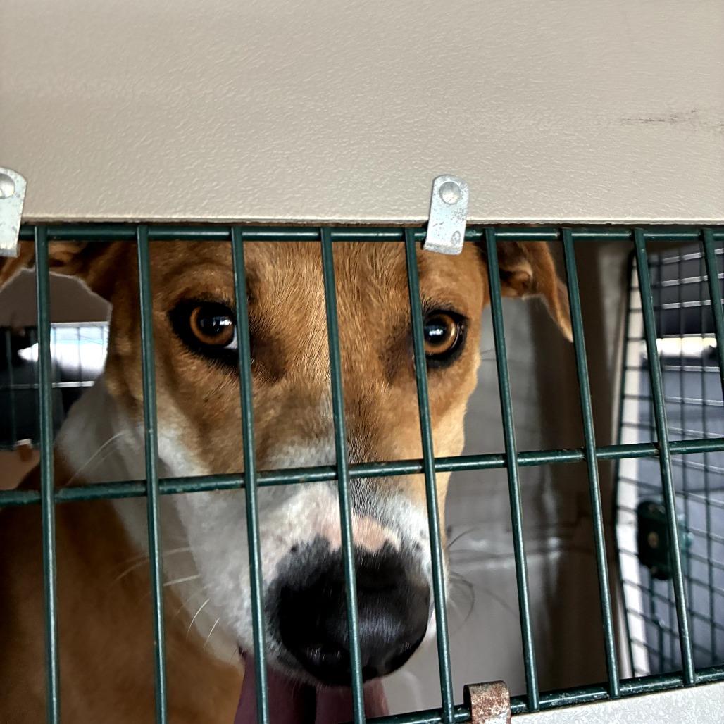 Claire — thumbnail 3