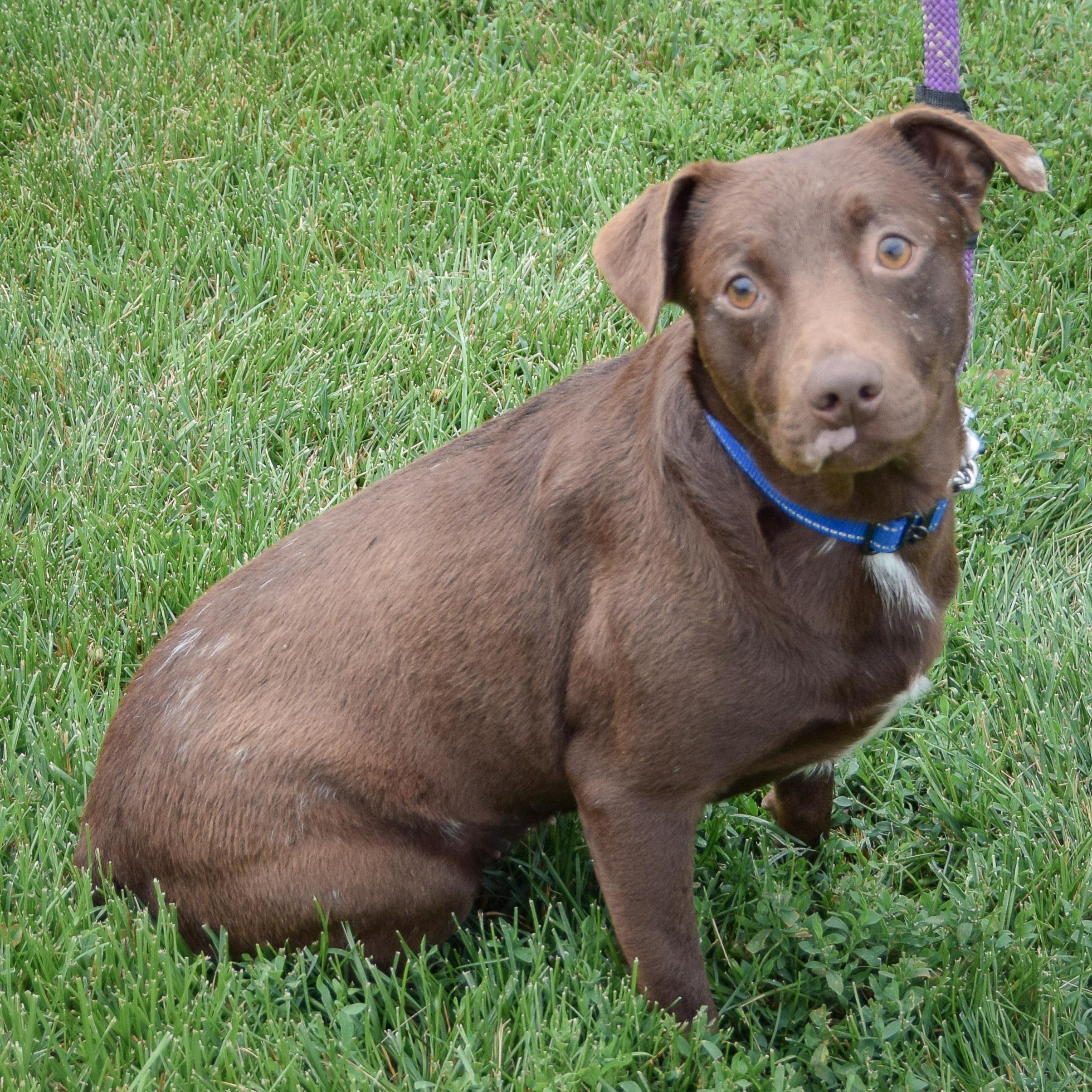 Rascal photo 3