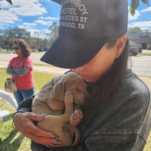 Orion Space — thumbnail 4